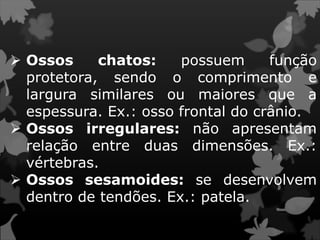  Ossos chatos: possuem função
protetora, sendo o comprimento e
largura similares ou maiores que a
espessura. Ex.: osso frontal do crânio.
 Ossos irregulares: não apresentam
relação entre duas dimensões. Ex.:
vértebras.
 Ossos sesamoides: se desenvolvem
dentro de tendões. Ex.: patela.
 