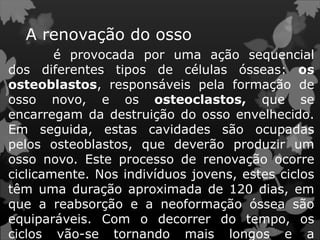 é provocada por uma ação sequencial
dos diferentes tipos de células ósseas: os
osteoblastos, responsáveis pela formação de
osso novo, e os osteoclastos, que se
encarregam da destruição do osso envelhecido.
Em seguida, estas cavidades são ocupadas
pelos osteoblastos, que deverão produzir um
osso novo. Este processo de renovação ocorre
ciclicamente. Nos indivíduos jovens, estes ciclos
têm uma duração aproximada de 120 dias, em
que a reabsorção e a neoformação óssea são
equiparáveis. Com o decorrer do tempo, os
ciclos vão-se tornando mais longos e a
A renovação do osso
 