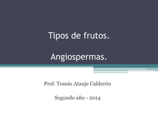 Tipos de frutos.
Angiospermas.
Prof. Tomás Atauje Calderón
Segundo año - 2014
 