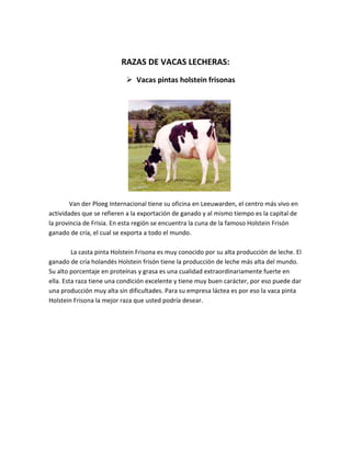 RAZAS DE VACAS LECHERAS:
                             Vacas pintas holstein frisonas




        Van der Ploeg Internacional tiene su oficina en Leeuwarden, el centro más vivo en
actividades que se refieren a la exportación de ganado y al mismo tiempo es la capital de
la provincia de Frisia. En esta región se encuentra la cuna de la famoso Holstein Frisón
ganado de cría, el cual se exporta a todo el mundo.

         La casta pinta Holstein Frisona es muy conocido por su alta producción de leche. El
ganado de cría holandés Holstein frisón tiene la producción de leche más alta del mundo.
Su alto porcentaje en proteínas y grasa es una cualidad extraordinariamente fuerte en
ella. Esta raza tiene una condición excelente y tiene muy buen carácter, por eso puede dar
una producción muy alta sin dificultades. Para su empresa láctea es por eso la vaca pinta
Holstein Frisona la mejor raza que usted podría desear.
 
