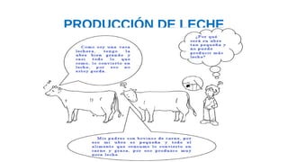PRODUCCIÓN DE LECHE
 