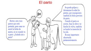 El parto
 