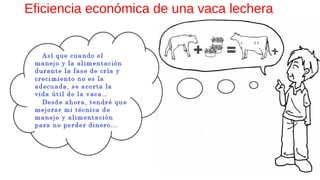 Eficiencia económica de una vaca lechera
 
