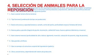 4. SELECCIÓN DE ANIMALES PARA LA
REPOSICIÓN
• Para transformar nuestro ganado en ganado de alta capacidad de producción de leche, pese a que existe una gran variabilidad
en la capacidad genética, es necesario un minucioso control productivo y reproductivo, además de una continua selección
de las crías, tomando en cuenta los siguientes puntos:
• 1.- Buen carácter lechero (forma lechera).
• 2.- Tipo funcional (combinación de tipo con producción).
• 3.- Buena estructura y capacidad (estatura, tamaño, ancho del pecho, profundidad corporal, fortaleza del lomo).
• 4.- Buenas patas y pezuñas (ángulo de pezuña, locomoción, calidad del hueso, buenos aplomos delanteros y traseros).
• 5.- Buen sistema mamario (profundidad de ubre, textura, ligamento, inserción, colocación de pezones, largo de pezones).
• 6.- Ojos grandes y brillosos.
• 7.- Que se asemeje a la estructura corporal del reproductor (padre) y
• 8.- Otras características, dependiendo del sistema de producción.
•
 