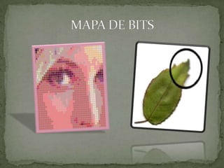 MAPA DE BITS
