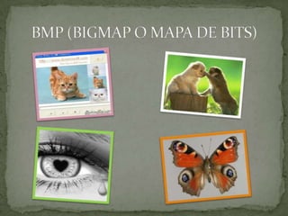 BMP (BIGMAP O MAPA DE BITS)