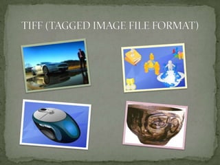 TIFF (TAGGED IMAGE FILE FORMAT)