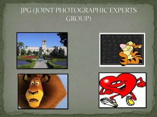 JPG (JOINT PHOTOGRAPHIC EXPERTS GROUP)