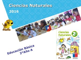 Ciencias NaturalesCiencias Naturales
2016
Educación Básica
2°Año A
 