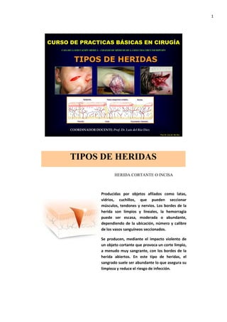 1




CURSO DE PRACTICAS BÁSICAS EN CIRUGÍA
   CASA DE LA EDUCACIÓN MEDICA – COLEGIO DE MÉDICOS DE LA SEGUNDA CIRCUNSCRIPCIÓN



            TIPOS DE HERIDAS




         COORDINADOR DOCENTE: Prof. Dr. Luis del Rio Diez
                                                                             Prof. Dr. Luis del Rio Diez




         TIPOS DE HERIDAS
                                          HERIDA CORTANTE O INCISA



                                Producidas por objetos afilados como latas,
                                vidrios, cuchillos, que pueden seccionar
                                músculos, tendones y nervios. Los bordes de la
                                herida son limpios y lineales, la hemorragia
                                puede ser escasa, moderada o abundante,
                                dependiendo de la ubicación, número y calibre
                                de los vasos sanguíneos seccionados.

                                Se producen, mediante el impacto violento de
                                un objeto cortante que provoca un corte limpio,
                                a menudo muy sangrante, con los bordes de la
                                herida abiertos. En este tipo de heridas, el
                                sangrado suele ser abundante lo que asegura su
                                limpieza y reduce el riesgo de infección.
 