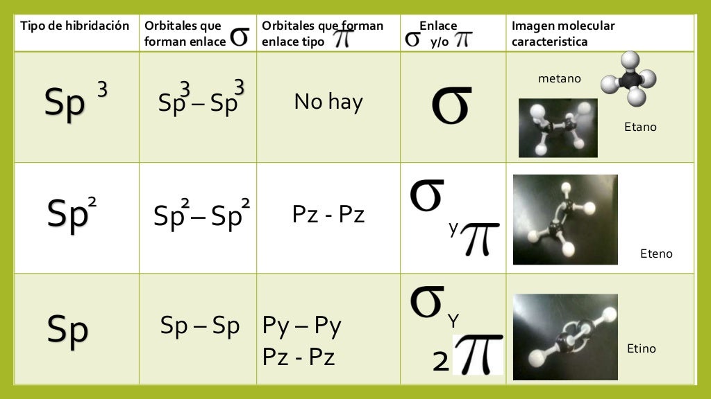 Tipos De Hibridaci n
