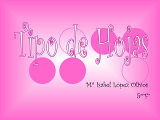 Mª Isabel López Olivos  5º”F” Tipo de Hojas 