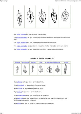 Tipos de hojas | PDF