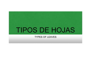 TIPOS DE HOJAS
TYPES OF LEAVES
 