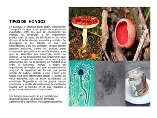 TIPOS DE HONGOS
En biología, el término fungi (latín, literalmente
"hongos") designa a un grupo de organismos
eucariotas entre los que se encuentran los
mohos, las levaduras y los organismos
productores de setas. Se clasifican en un reino
distinto al de las plantas, animales y protistas. Se
distinguen de las plantas en que son
heterótrofos; y de los animales en que tienen
paredes celulares, como las plantas, pero
compuestas por quitina, en vez de celulosa, y en
que se alimentan por absorción, como las
plantas. Se ha descubierto que organismos que
parecían hongos en realidad no lo eran, y que
organismos que no lo parecían en realidad sí lo
eran, si llamamos "hongo" a todos los
organismos derivados del que ancestralmente
adquirió la capacidad de formar una pared
celular de quitina. Debido a ello, si bien este
taxón está bien delimitado desde el punto de
vista evolutivo, aún se están estudiando las
relaciones filogenéticas de los grupos menos
conocidos, y su lista de subtaxones ha cambiado
mucho con el tiempo en lo que respecta a
grupos muy derivados o muy basales.
Los hongos se encuentran en hábitats muy
diversos: pueden ser pirófilos (Pholiota
carbonaria) o coprófilos (Psilocybecoprophila)
 