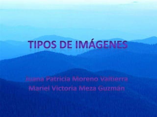 Tipos de imágenes Juana Patricia Moreno Valtierra Mariel Victoria Meza Guzmán 