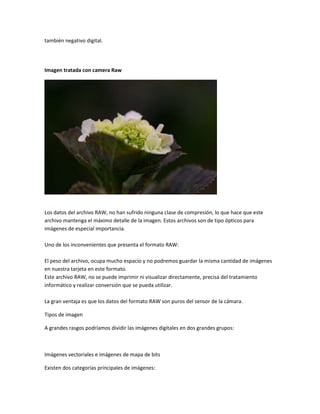 también negativo digital.




Imagen tratada con camera Raw




Los datos del archivo RAW, no han sufrido ninguna clase de compresión, lo que hace que este
archivo mantenga el máximo detalle de la imagen. Estos archivos son de tipo ópticos para
imágenes de especial importancia.

Uno de los inconvenientes que presenta el formato RAW:

El peso del archivo, ocupa mucho espacio y no podremos guardar la misma cantidad de imágenes
en nuestra tarjeta en este formato.
Este archivo RAW, no se puede imprimir ni visualizar directamente, precisa del tratamiento
informático y realizar conversión que se pueda utilizar.

La gran ventaja es que los datos del formato RAW son puros del sensor de la cámara.

Tipos de imagen

A grandes rasgos podríamos dividir las imágenes digitales en dos grandes grupos:



Imágenes vectoriales e imágenes de mapa de bits

Existen dos categorías principales de imágenes:
 