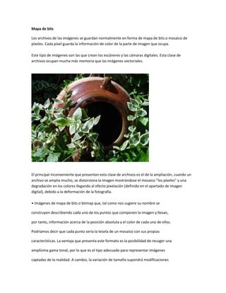 Mapa de bits

Los archivos de las imágenes se guardan normalmente en forma de mapa de bits o mosaico de
píxeles. Cada píxel guarda la información de color de la parte de imagen que ocupa.

Este tipo de imágenes son las que crean los escáneres y las cámaras digitales. Esta clase de
archivos ocupan mucha más memoria que las imágenes vectoriales.




El principal inconveniente que presentan esta clase de archivos es el de la ampliación, cuando un
archivo se amplia mucho, se distorsiona la imagen mostrándose el mosaico "los píxeles" y una
degradación en los colores llegando al efecto pixelación (definido en el apartado de imagen
digital), debido a la deformación de la fotografía.

• Imágenes de mapa de bits o bitmap que, tal como nos sugiere su nombre se

construyen describiendo cada uno de los puntos que componen la imagen y llevan,

por tanto, información acerca de la posición absoluta y el color de cada uno de ellos.

Podríamos decir que cada punto sería la tesela de un mosaico con sus propias

características. La ventaja que presenta este formato es la posibilidad de recoger una

amplísima gama tonal, por lo que es el tipo adecuado para representar imágenes

captadas de la realidad. A cambio, la variación de tamaño supondrá modificaciones
 