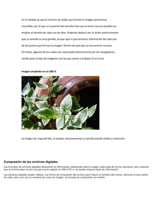 en la calidad, ya que el número de celdas que forman la imagen permanece

                invariable, por lo que un aumento del tamaño hace que el único recurso posible sea

                ampliar el tamaño de cada una de ellas. Podemos deducir por lo dicho anteriormente

                que su tamaño es muy grande, ya que aquí sí que tenemos información de cada uno

                de los puntos que forman la imagen. Dentro de este tipo se encuentran muchos

                formatos, algunos de los cuales son soportados directamente por los navegadores,

                siendo pues el tipo de imágenes con las que vamos a trabajar en el curso



                Imagen ampliada en un 200 %




                La imagen de mapa de bits, al ampliar excesivamente su tamaño pierde nitidez y resolución.




Compresión de los archivos digitales
Los formatos de archivos digitales almacenan la información codificando toda la imagen cada píxel de forma individual, esto ocasiona
que el archivo pese mucho (ocupa mucho espacio en MB al PC) y no pierda ninguna clase de información.

Las cámaras digitales suelen realizar una forma de compresión del archivo para reducir el tamaño del mismo, eliminan lo que carece
de valor, pero una vez se visualiza de nuevo la imagen, el proceso de compresión se invierte.
 