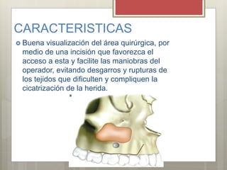 CARACTERISTICAS
 Buena visualización del área quirúrgica, por
medio de una incisión que favorezca el
acceso a esta y facilite las maniobras del
operador, evitando desgarros y rupturas de
los tejidos que dificulten y compliquen la
cicatrización de la herida.
 
