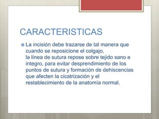 CARACTERISTICAS
 La incisión debe trazarse de tal manera que
cuando se reposicione el colgajo,
la línea de sutura repose sobre tejido sano e
integro, para evitar desprendimiento de los
puntos de sutura y formación de dehiscencias
que afecten la cicatrización y el
restablecimiento de la anatomía normal.
 
