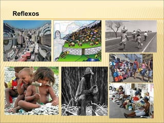 Reflexos
 