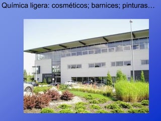 Química ligera: cosméticos; barnices; pinturas…
 