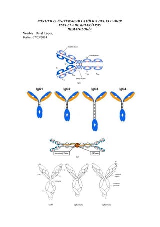 PONTIFICIA UNIVERSIDAD CATÓLICA DEL ECUADOR 
ESCUELA DE BIOANÁLISIS 
HEMATOLOGÍA 
Nombre: David López, 
Fecha: 07/05/2014 
 