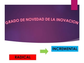 INCREMENTAL 
RADICAL 
 