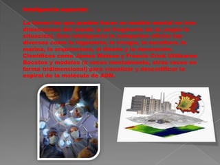 Inteligencia espacial: La tienen los que pueden hacer un modelo mental en tres dimensiones del mundo (o un fragmento de él, según la situación). Esta inteligencia la comparten oficios tan diversos como la ingeniería, la cirugía, la escultura, la marina, la arquitectura, el diseño y la decoración. Científicos como James Watson y Francis Crick Utilizaron Bocetos y modelos (a veces mentalmente, otras veces en forma tridimensional) para visualizar y descodificar la espiral de la molécula de ADN. 