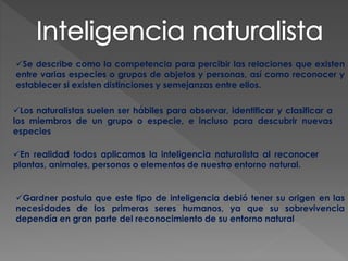 Se describe como la competencia para percibir las relaciones que existen
entre varias especies o grupos de objetos y personas, así como reconocer y
establecer si existen distinciones y semejanzas entre ellos.
Los naturalistas suelen ser hábiles para observar, identificar y clasificar a
los miembros de un grupo o especie, e incluso para descubrir nuevas
especies
En realidad todos aplicamos la inteligencia naturalista al reconocer
plantas, animales, personas o elementos de nuestro entorno natural.
Gardner postula que este tipo de inteligencia debió tener su origen en las
necesidades de los primeros seres humanos, ya que su sobrevivencia
dependía en gran parte del reconocimiento de su entorno natural
 