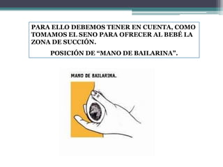 PARA ELLO DEBEMOS TENER EN CUENTA, COMO
TOMAMOS EL SENO PARA OFRECER AL BEBÉ LA
ZONA DE SUCCIÓN.
    POSICIÓN DE “MANO DE BAILARINA”.
 