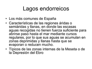 Lagos endorreicos Los más comunes de España Características de las regiones áridas o semiáridas y llanas, en donde las escasas aguas recogidas no tienen fuerza suficiente para abrirse paso hasta el mar mediante cursos regulares, por lo que sus aguas se acumulan en zonas deprimidas y llanas hasta que se evaporan o reducen mucho.  Típicos de las zonas internas de la Meseta o de la Depresión del Ebro 
