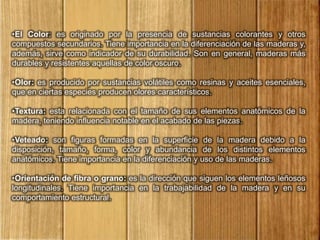 •El Color: es originado por la presencia de sustancias colorantes y otros
compuestos secundarios. Tiene importancia en la diferenciación de las maderas y,
además, sirve como indicador de su durabilidad. Son en general, maderas más
durables y resistentes aquellas de color oscuro.
•Olor: es producido por sustancias volátiles como resinas y aceites esenciales,
que en ciertas especies producen olores característicos.
•Textura: esta relacionada con el tamaño de sus elementos anatómicos de la
madera, teniendo influencia notable en el acabado de las piezas.
•Veteado: son figuras formadas en la superficie de la madera debido a la
disposición, tamaño, forma, color y abundancia de los distintos elementos
anatómicos. Tiene importancia en la diferenciación y uso de las maderas.
•Orientación de fibra o grano: es la dirección que siguen los elementos leñosos
longitudinales. Tiene importancia en la trabajabilidad de la madera y en su
comportamiento estructural.
 