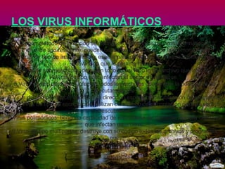 LOS VIRUS INFORMÁTICOS
Según método de infección se distinguen varios tipos de virus informáticos:
1.Virus de tipo residente: pueden ocultarse en sectores de la memoria RAM
2.Virus de tipo de acción directa: espera para comenzar su ataque hasta que se
Activa algo que le permite hacerlo.
3.Virus de sobreescritura: detruyen todo o casi todo lo del archivo que infectan.
4.Virus de tipo boot: infectan el sector de arranque.
5.Virus de tipo de marco: infectan todos los archivos que tengan la posibilidad de
Ejecutar macros.
6.Virus de tipo de enlace:modifican la dirección específica de ubicación de programas
7.Virus de tipo de encriptación: utilizan un método de encriptación para no ser
Descubiertos.
8.Virus polimórficos: tienen la capacidad de encriptarse de diferente manera cada vez
que infectan un archivo.
9.Virus de tipo multipartite: destruye con su código todos los archivos y programas
que
Ha infectado.

 
