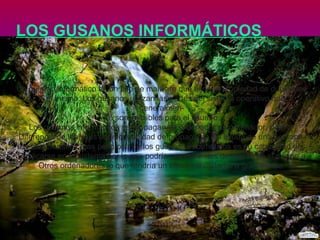 LOS GUSANOS INFORMÁTICOS

Un gusano informático es un tipo de malware que tiene la propiedad de duplicarse
A sí mismo. Los gusanos utilizan las partes del sistema operativo que
generalmenTe son invisibles para el usuario.
Los gusanos informáticos se propagan de ordenador en ordenador, pero a
Diferencia de los virus tiene capacidad de propagarse sin ayuda de una persona.
La característica mas peligrosa de los gusanos informáticos es su capacidad de
Replicarse en tu sistema por lo que podría mandar miles de copias de si mismo a
Otros ordenadores lo que tendría un efecto devastador a gran escala.

 
