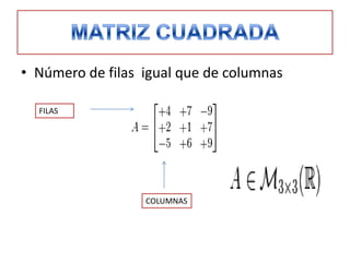 • Número de filas igual que de columnas
FILAS
COLUMNAS
 