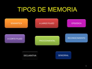 TIPOS DE MEMORIA
1
SEMANTICA A LARGO PLAZO
A CORTO PLAZO
PROCEDIMENTAL
DECLARATIVA
RECONOCIMIENTO
EPISODICA
SENSORIAL
 