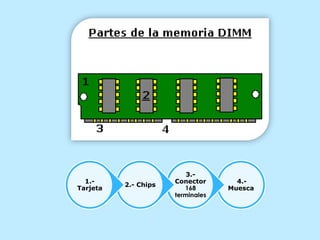1.Tarjeta

2.- Chips

3.Conector
168
terminales

4.Muesca

 
