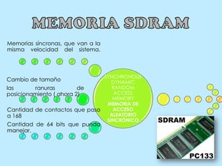 Memorias síncronas, que van a la
misma velocidad del sistema.

SYNCHRONOUS
DYNAMIC
RANDOM
las
ranuras
de
ACCESS
posicionamiento ( ahora 2)
MEMORY
MEMORIA DE
ACCESO
Cantidad de contactos que paso
ALEATORIO
a 168
SINCRÓNICO

Cambio de tamaño

Cantidad de 64 bits que pueda
manejar.

 