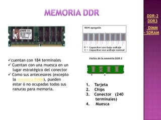 Memoria Rimm Tipos de memoria ram. | PDF