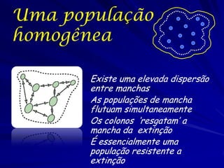 Uma população
homogênea

       Existe uma elevada dispersão
       entre manchas
       As populações de mancha
       flutuam simultaneamente
       Os colonos ‘resgatam’ a
       mancha da extinção
       É essencialmente uma
       população resistente a
       extinção
 