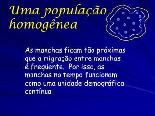 Uma população
homogênea

  As manchas ficam tão próximas
  que a migração entre manchas
  é freqüente. Por isso, as
  manchas no tempo funcionam
  como uma unidade demográfica
  contínua
 