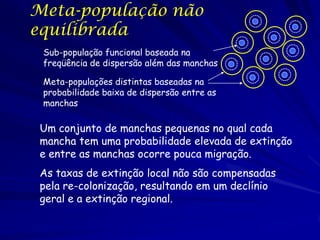 Meta-população não
equilibrada
 Sub-população funcional baseada na
 freqüência de dispersão além das manchas

 Meta-populações distintas baseadas na
 probabilidade baixa de dispersão entre as
 manchas

 Um conjunto de manchas pequenas no qual cada
 mancha tem uma probabilidade elevada de extinção
 e entre as manchas ocorre pouca migração.
 As taxas de extinção local não são compensadas
 pela re-colonização, resultando em um declínio
 geral e a extinção regional.
 