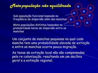 Meta-população não equilibrada

 Sub-população funcional baseada na
 freqüência de dispersão além das manchas

 Meta-populações distintas baseadas na
 probabilidade baixa de dispersão entre as
 manchas

 Um conjunto de manchas pequenas no qual cada
 mancha tem uma probabilidade elevada de extinção
 e entre as manchas ocorre pouca migração.
 As taxas de extinção local não são compensadas
 pela re-colonização, resultando em um declínio
 geral e a extinção regional.
 