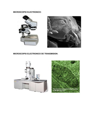 MICROSCOPIO ELECTRONICO:
MICROSCOPIO ELECTRONICO DE TRANSMISION:
 