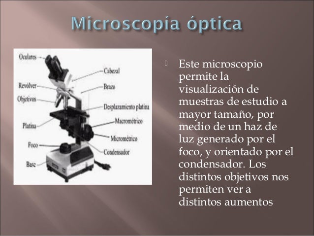 Tipos de microscopios