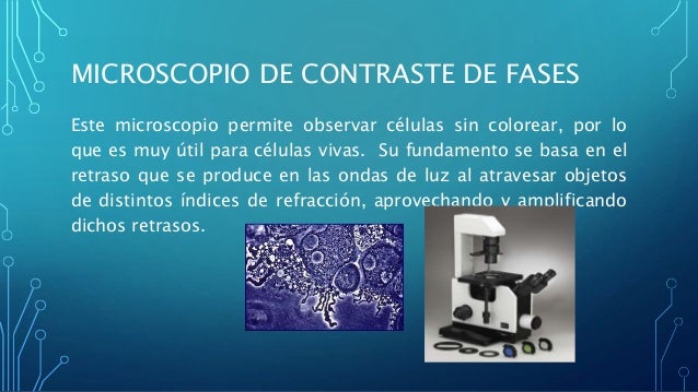 Tipos de microscopios
