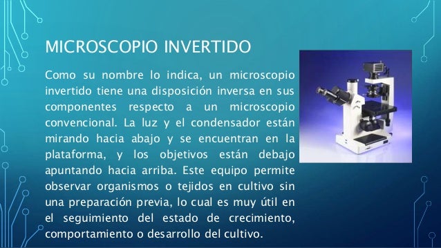 Tipos de microscopios