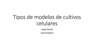 Tipos de modelos de cultivos
celulares
Jorge Parodi
Lab Vertebral
 